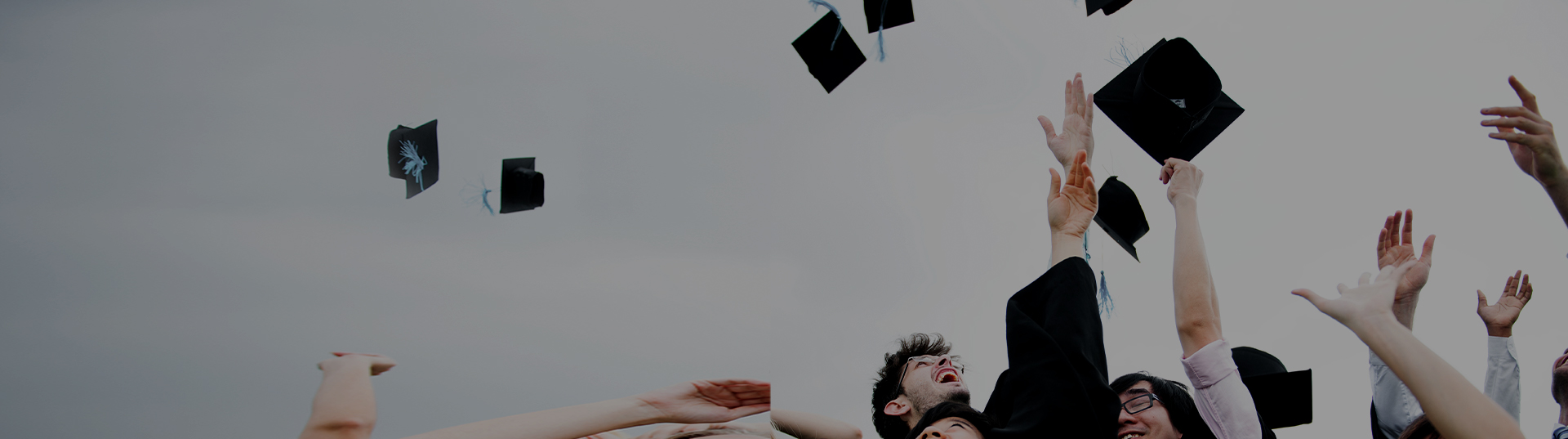 凤凰同盟平台注册·(唯一)官方网站